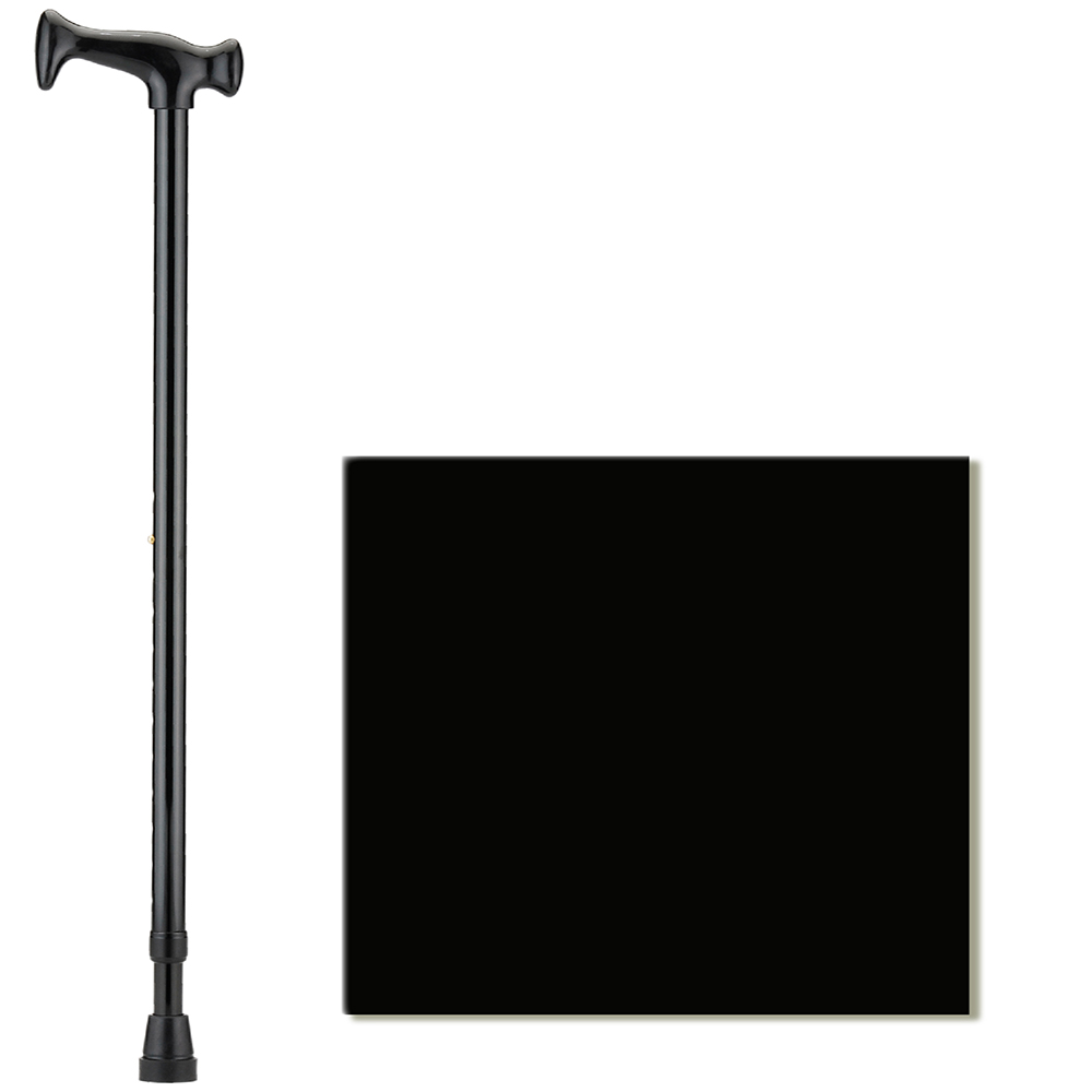 Cane With Plastic Handle Black with Swatch